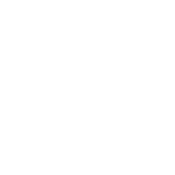 Героини Юга